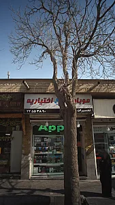 موبایل اختیاریه