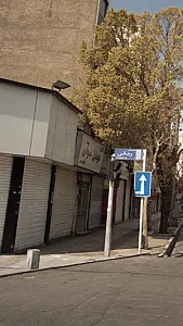 لوازم جانبی موبایل نیروانا