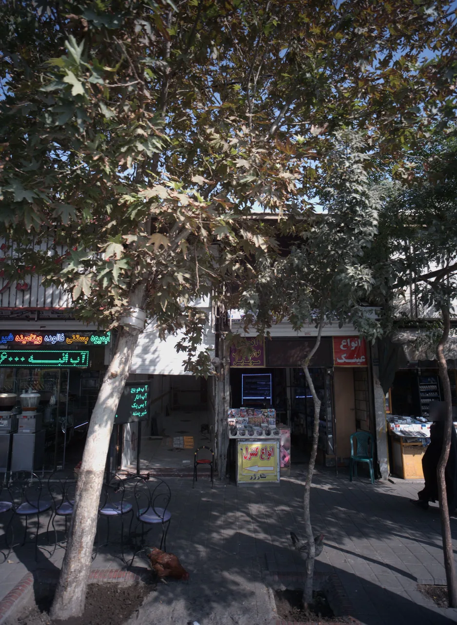 فروشگاه عینک و لوازم جانبی موبایل
