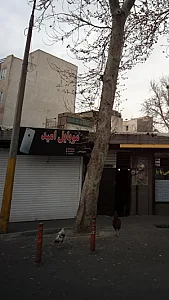 موبایل امید