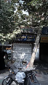 دنوا موبایل