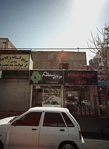 موبایل سیلور