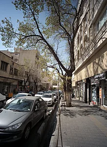 ایران موبایل 225