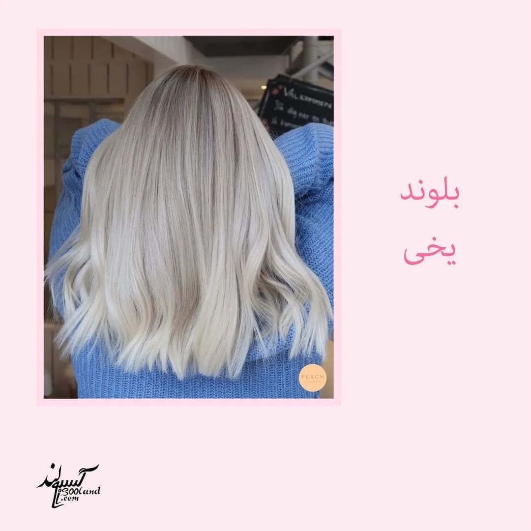فروشگاه سرزمین رنگ مو - تصویر 2