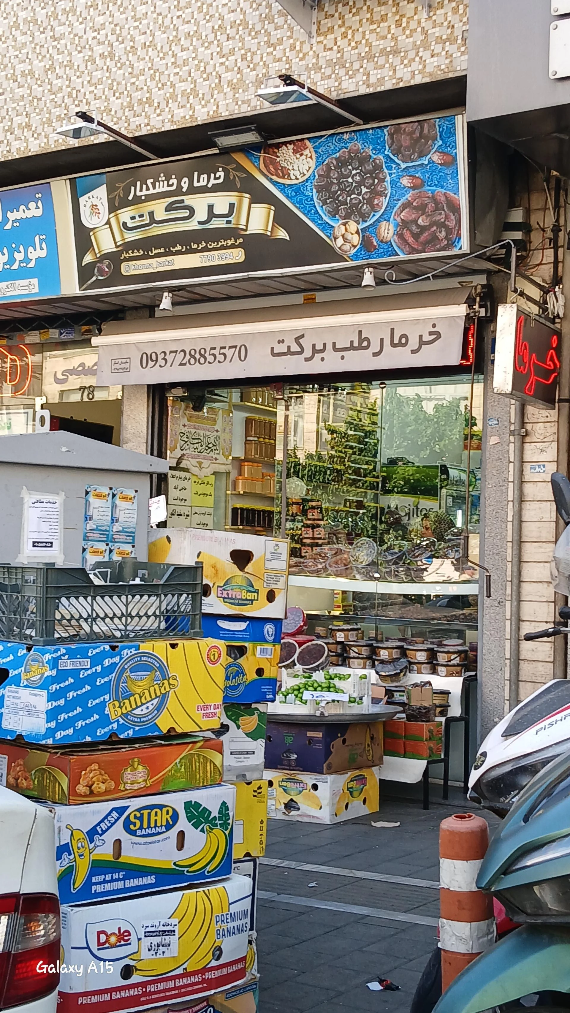 ایران کنجد