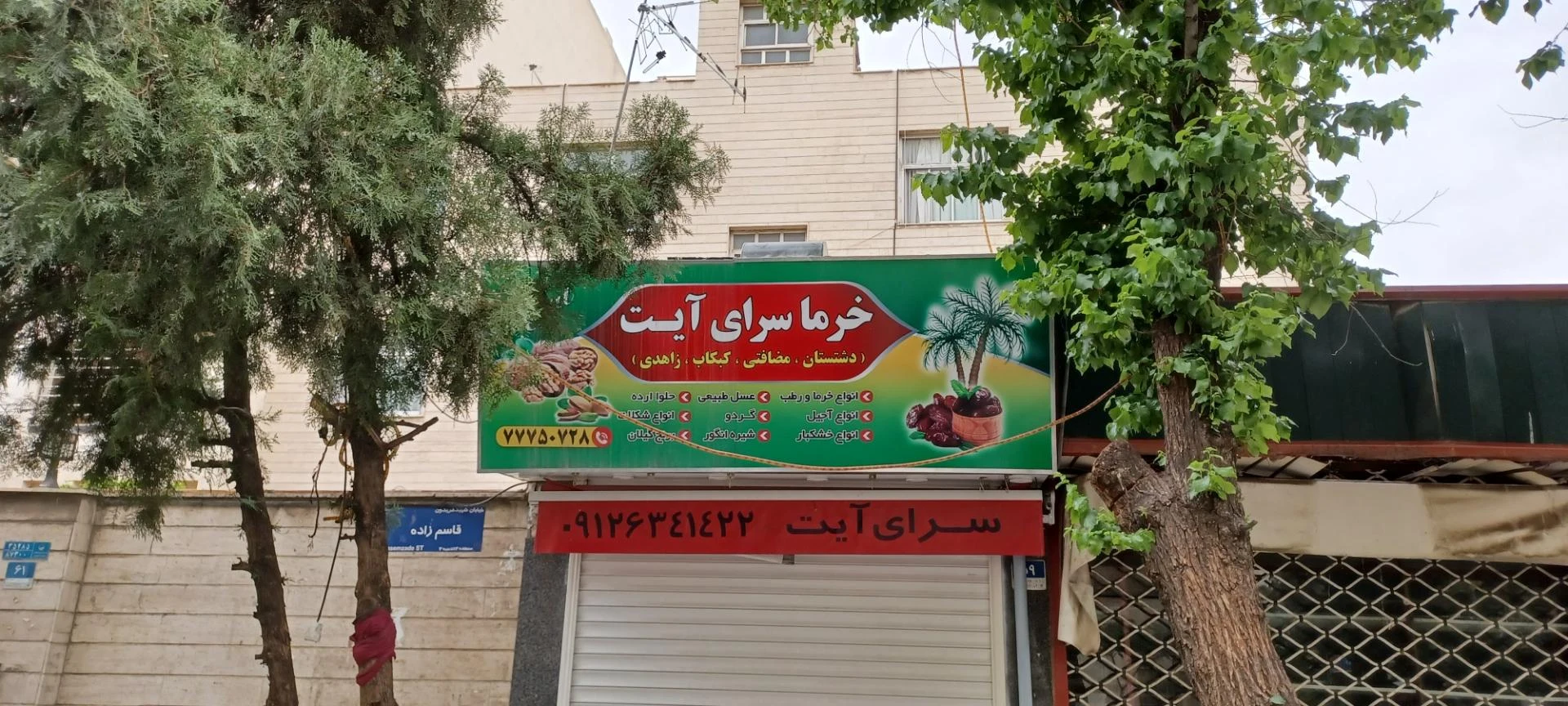 ایران کنجد - تصویر 4