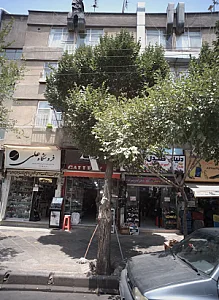 فروشگاه علی