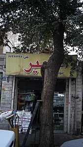 شوینده آرایشی بهداشتی امیر