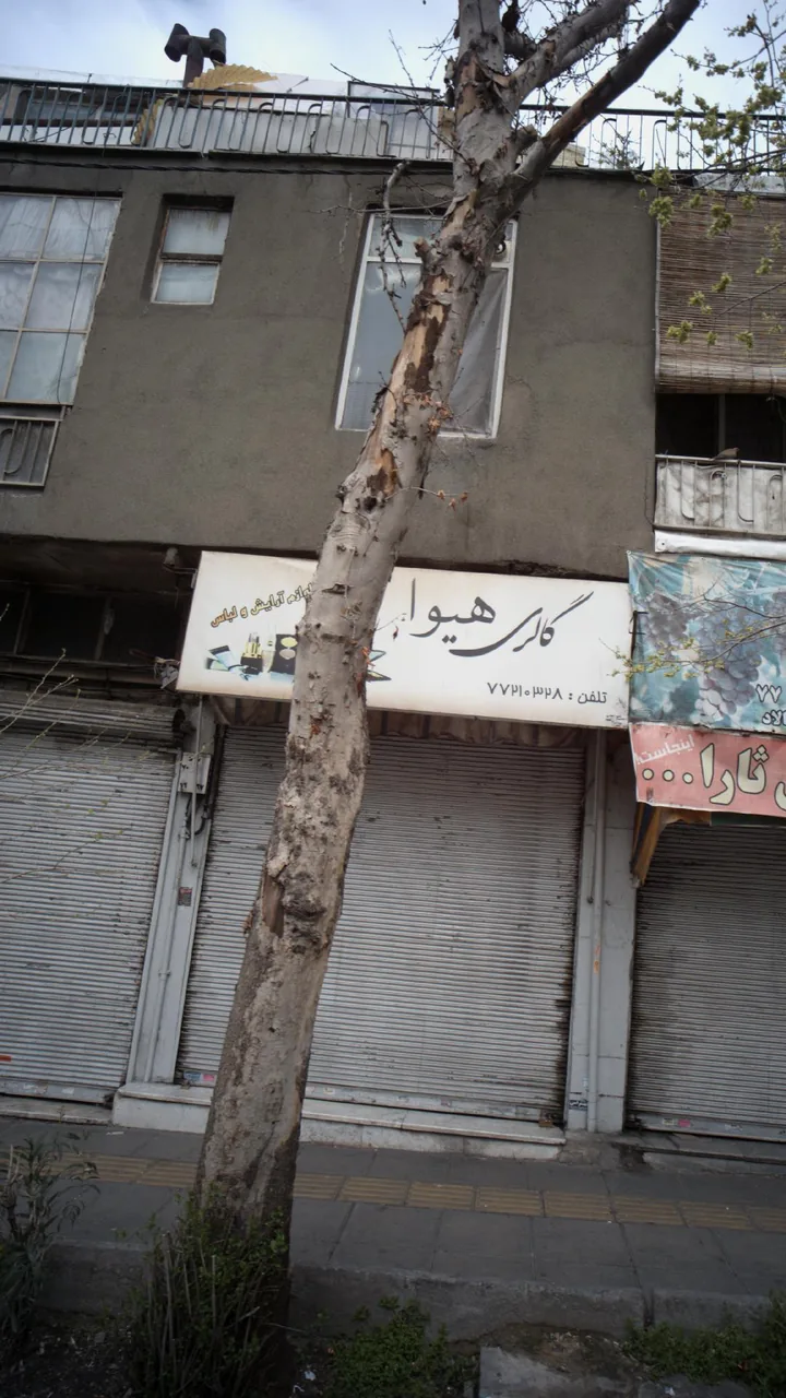 گالری هیوا