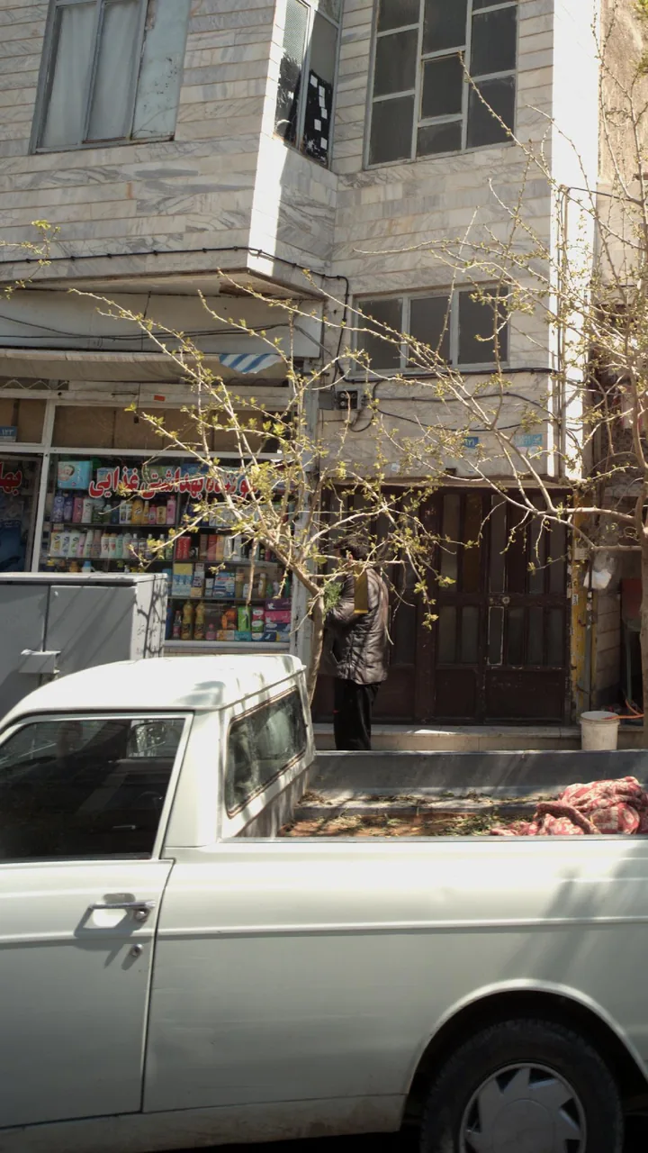 شوینده بهداشتی غذایی بهاران