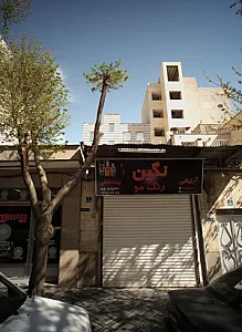 نگین رنگ مو