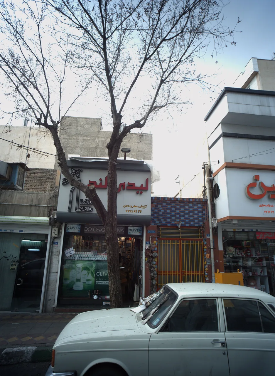 لیدی لند