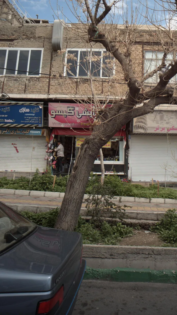 لوازم آرایشی گیسو - تصویر 3