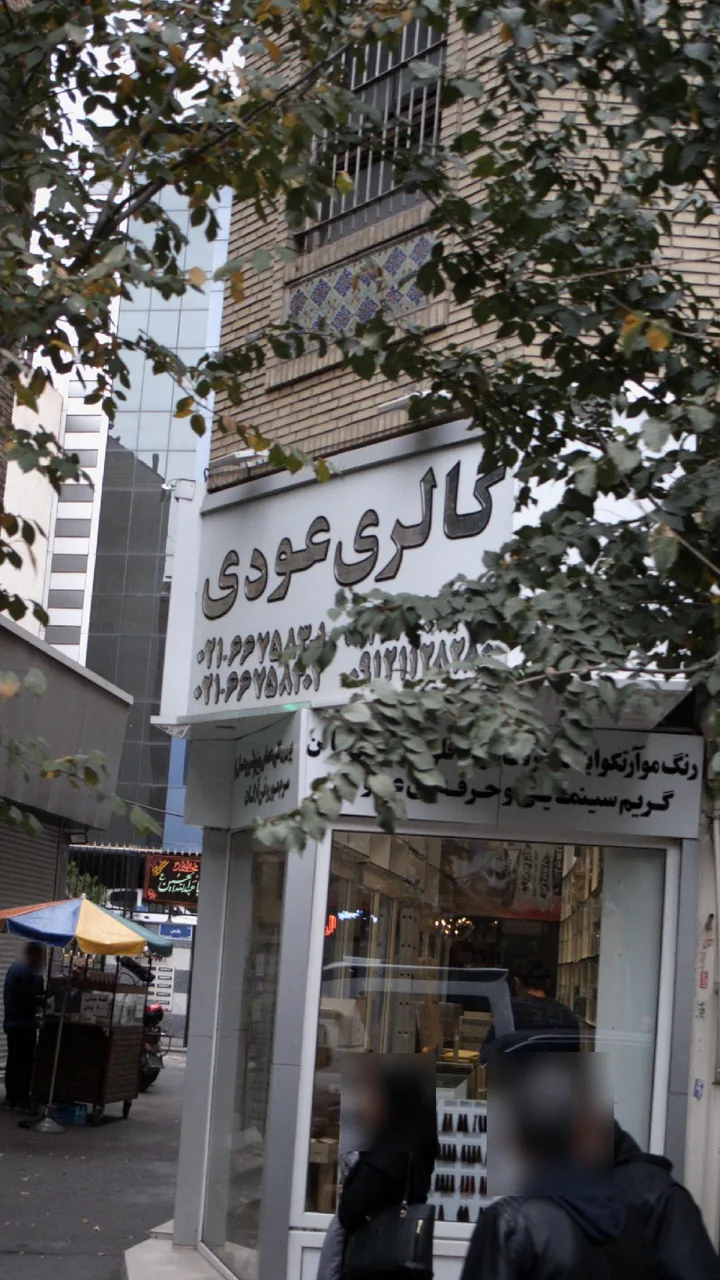 گالری آرایشی عودی - تصویر 2
