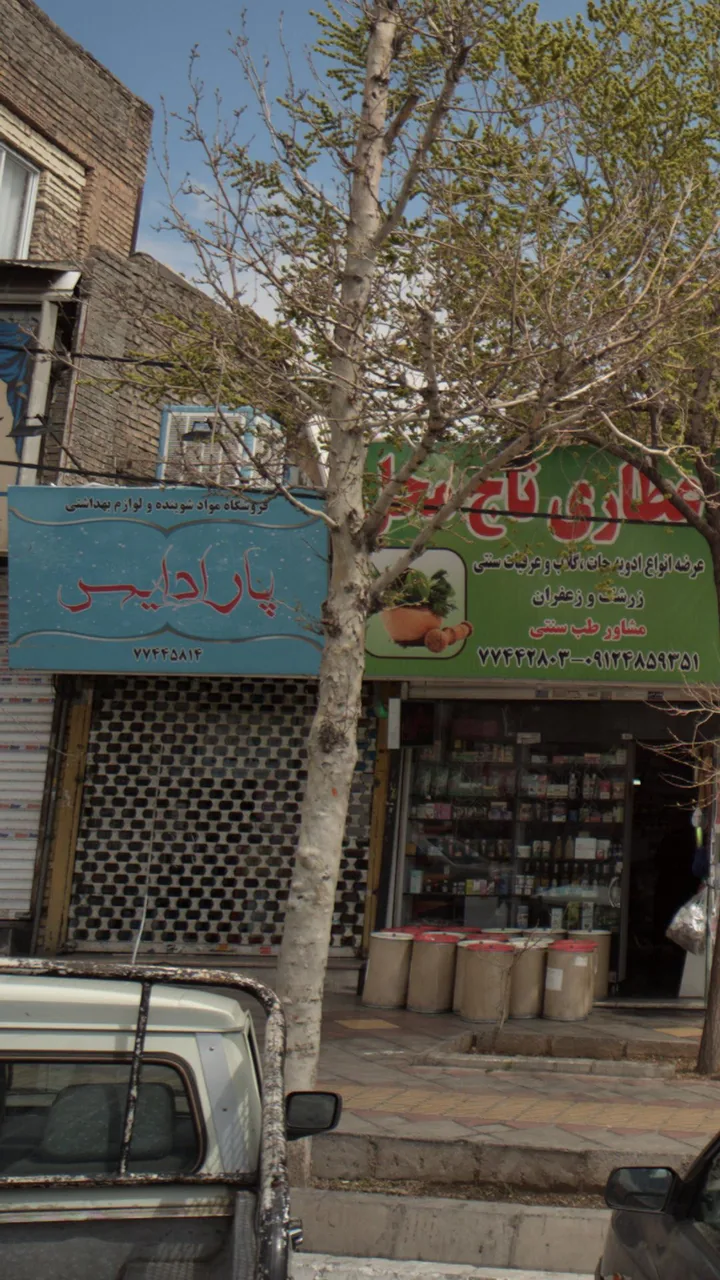 پارادایس - تصویر 2