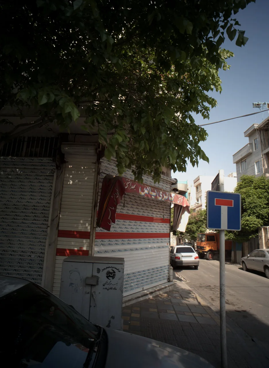 گالری یاس