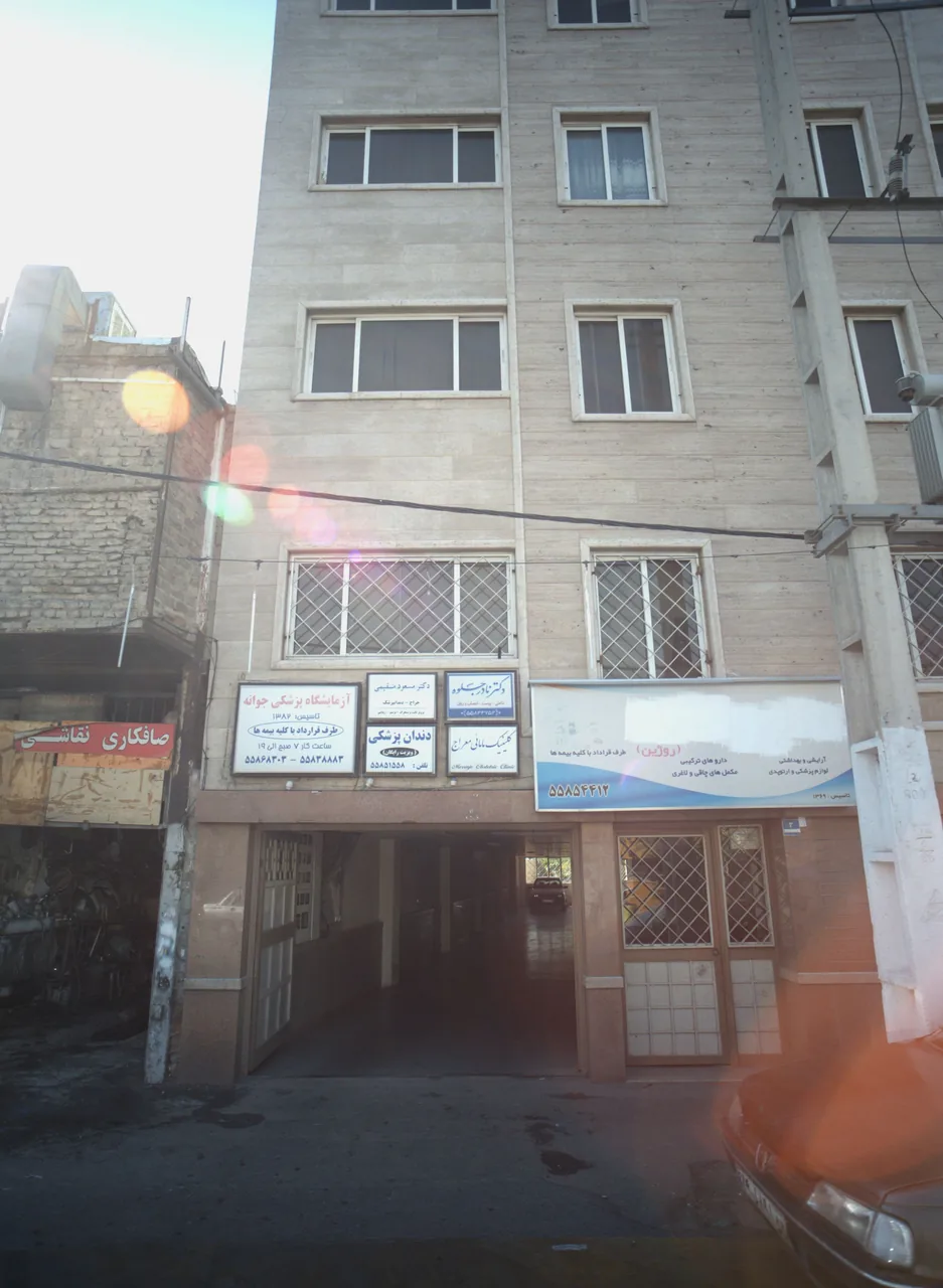 روژین