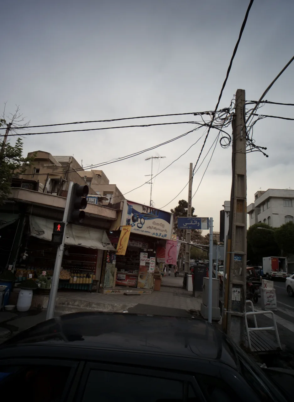 گالری گل یخ