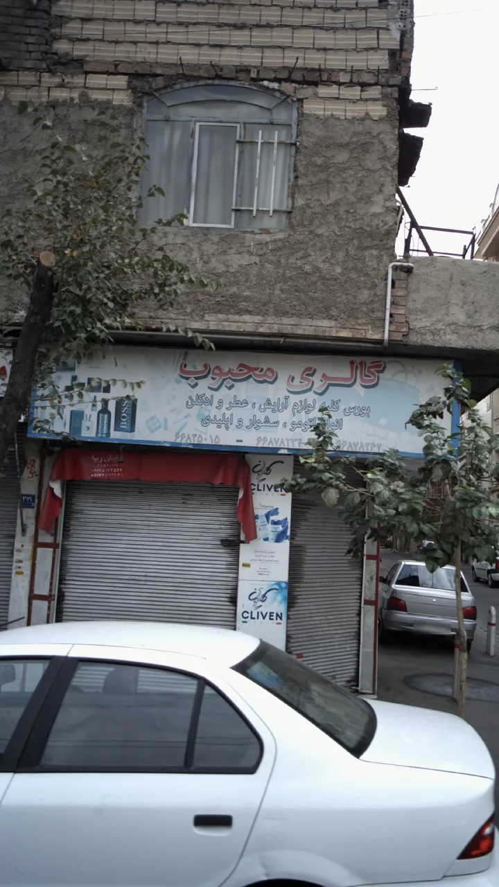 گالری محبوب