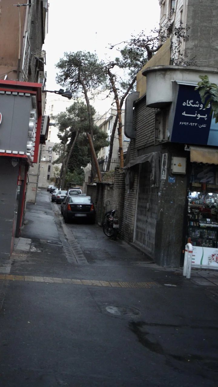 فروشگاه نیکی - تصویر 4