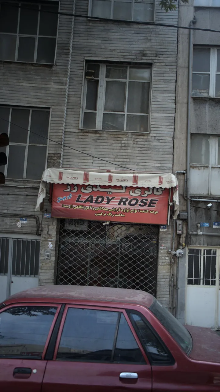 گالری لیدی رز