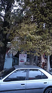 لوازم آرایشی و بهداشتی رنگین کمان