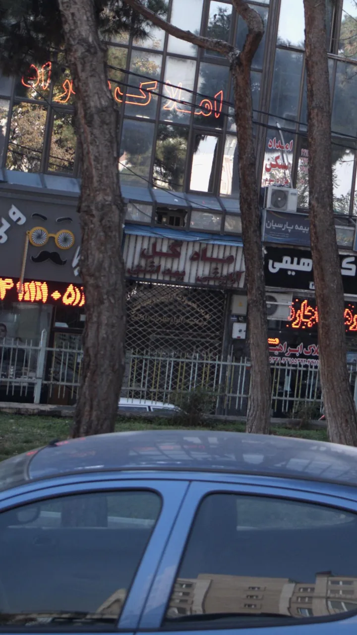 ماه گل