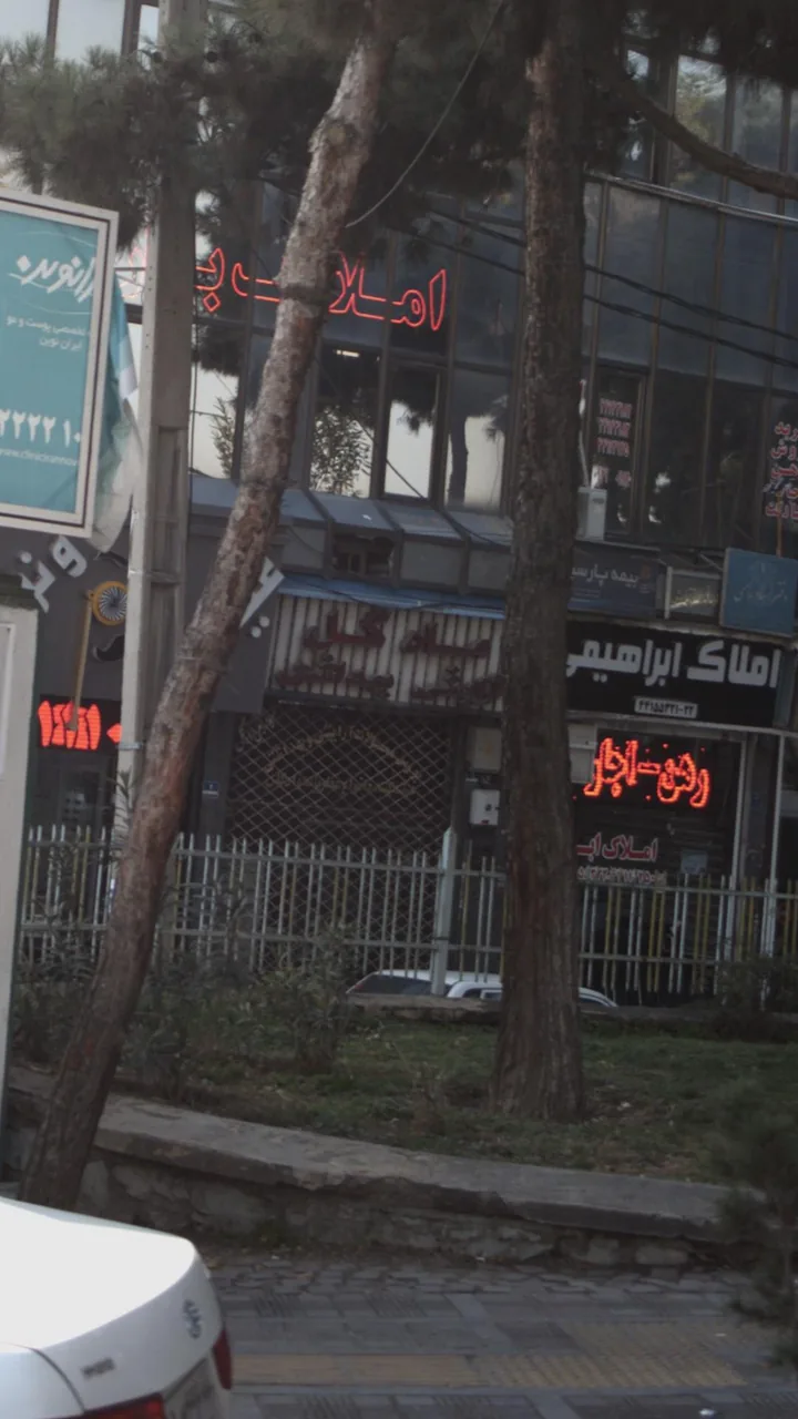 ماه گل - تصویر 3