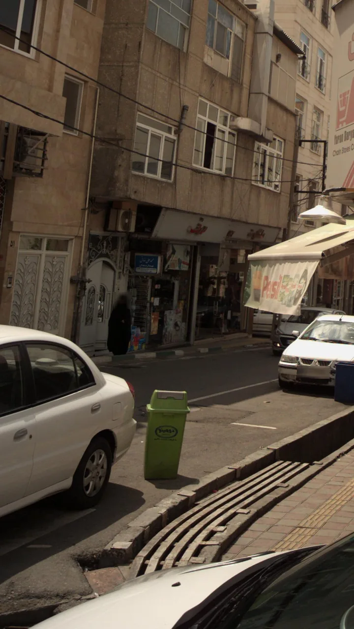 صدف - تصویر 2
