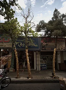 فروشگاه لوازم آرایشی شقایق