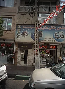 آرایشی نگین