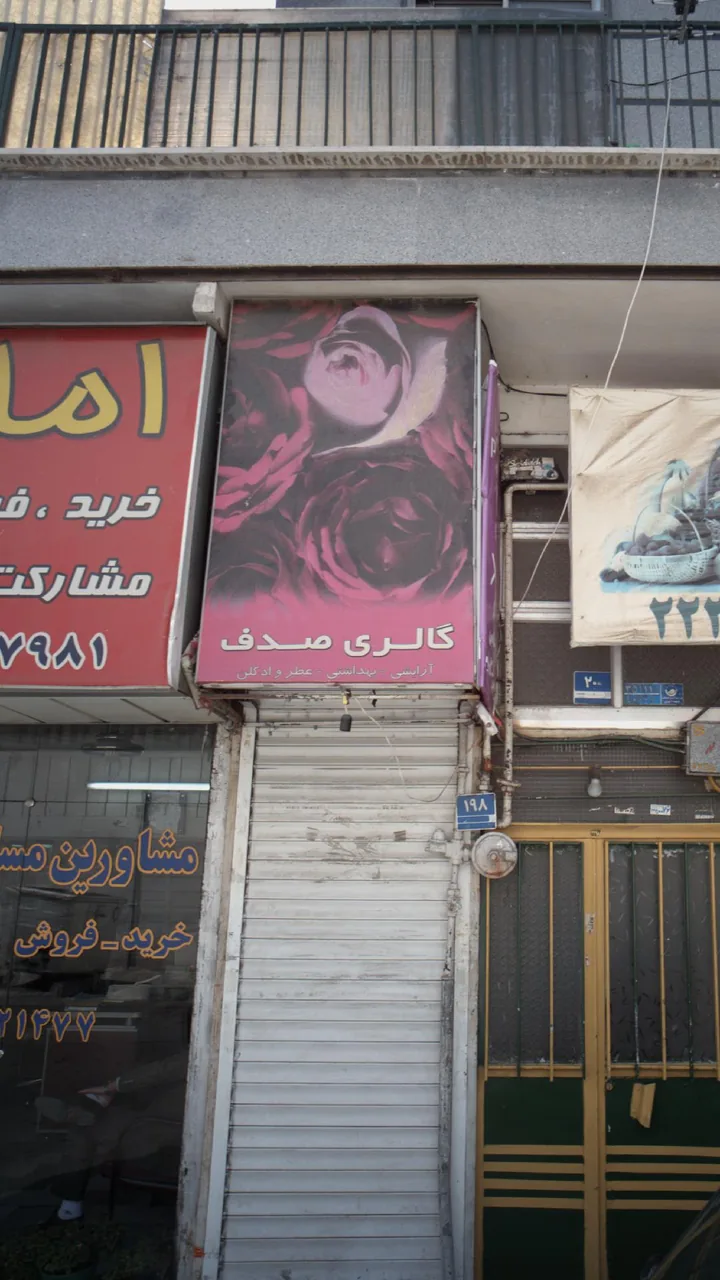 گالری صدف - تصویر 2