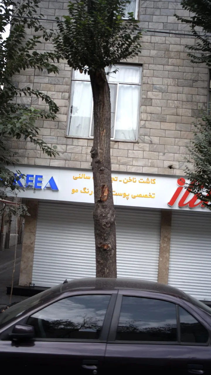 فروشگاه الناز