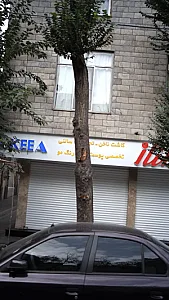 فروشگاه الناز