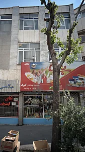 بهداشتی و شوینده گلبرگ
