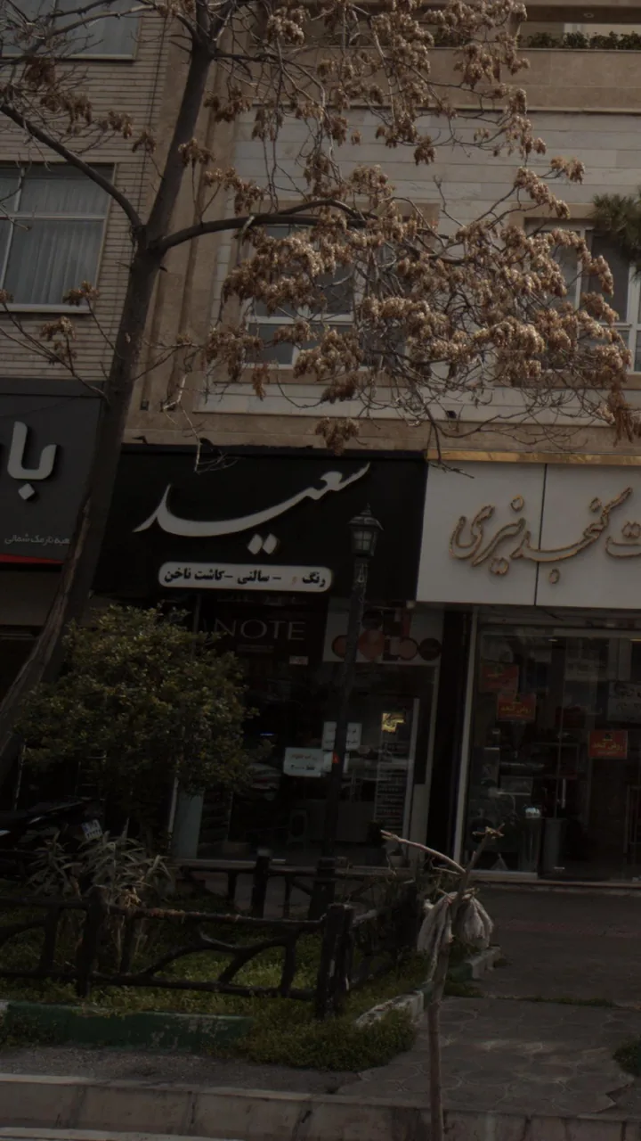 سعید - تصویر 2