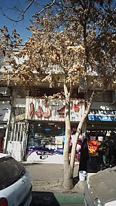 گالری ندا