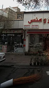 گالری یاس