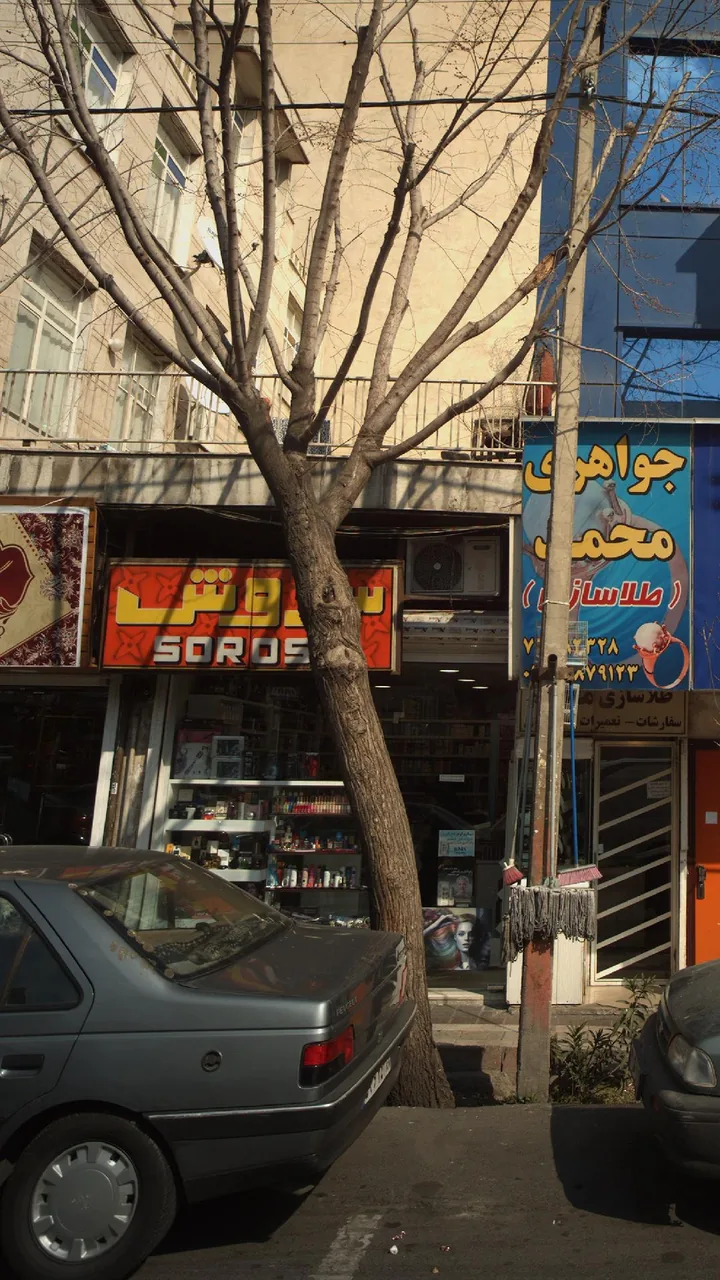 سروش - تصویر 2