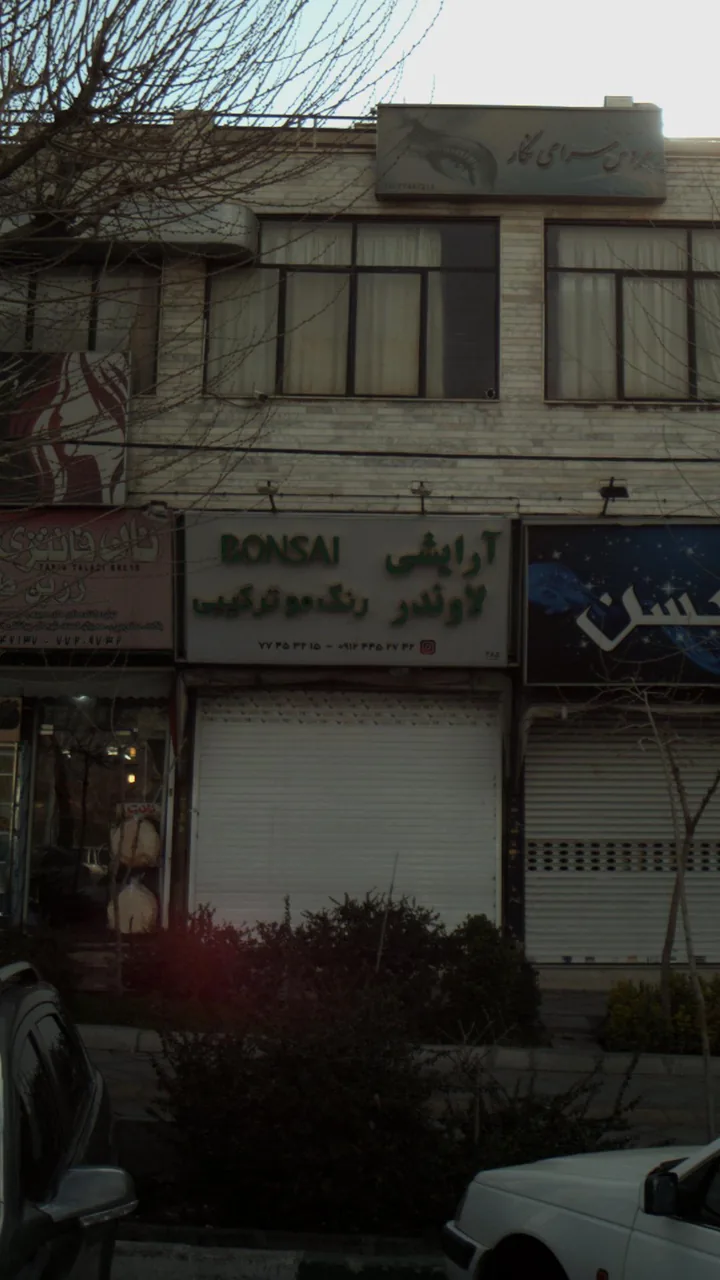 ارایشی لاوندر - تصویر 3