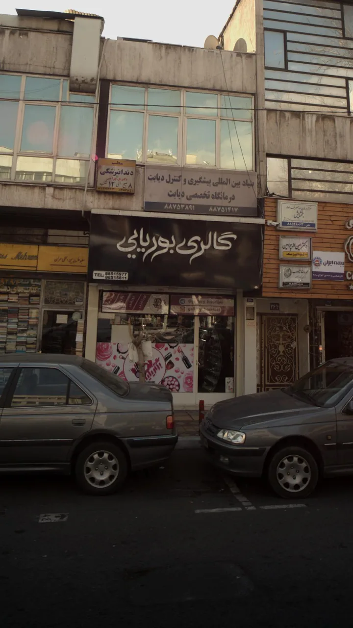 گالری بوریایی