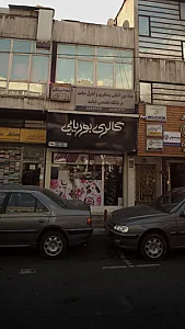 گالری بوریایی