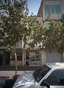 آرایشی پرنسا