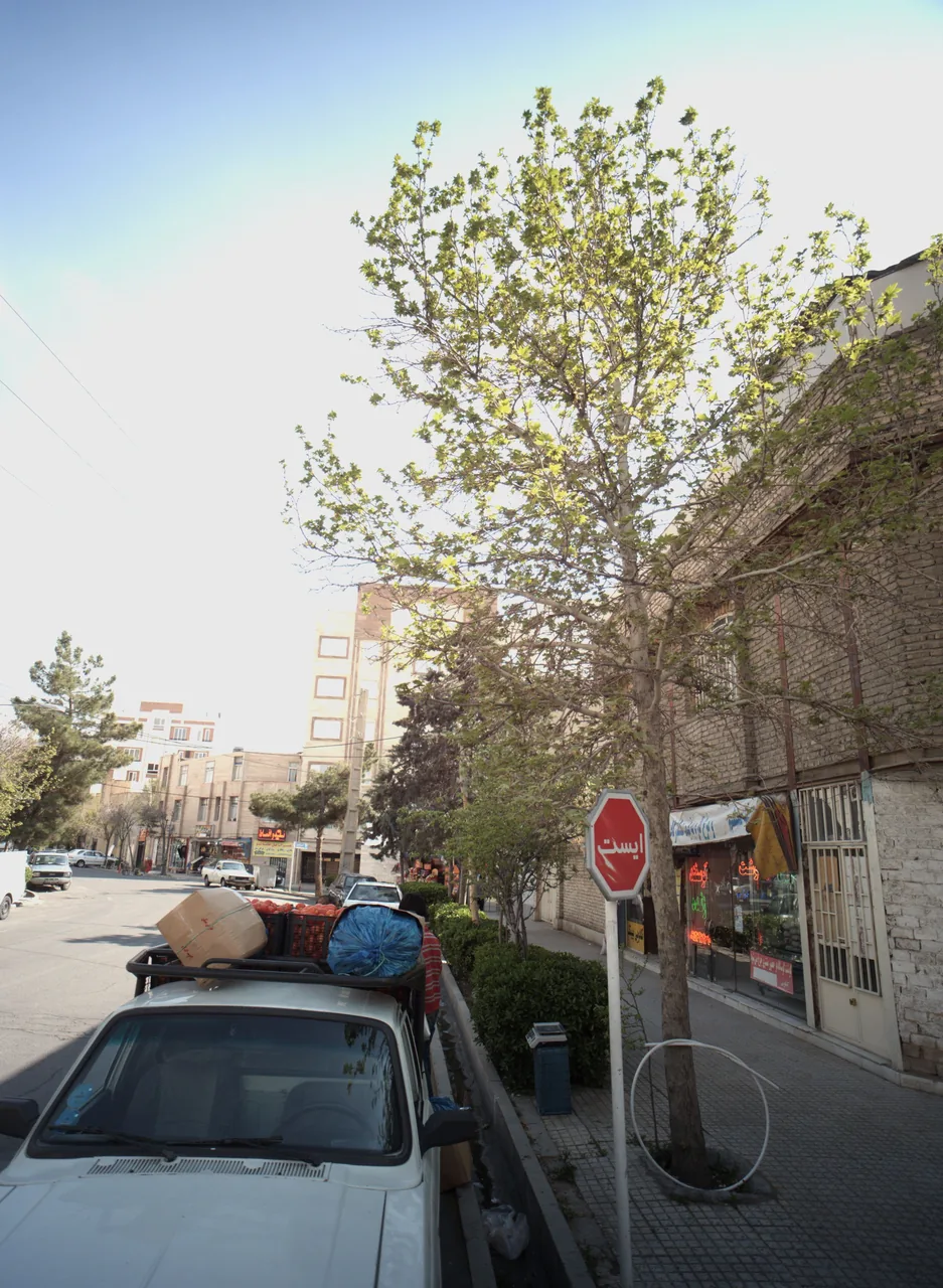 پروتئینی