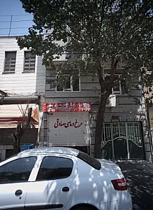 مرغ و ماهی صادقی