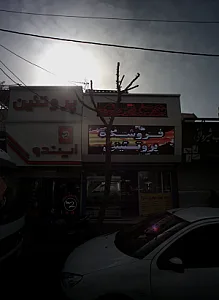مواد پروتئینی ایندو