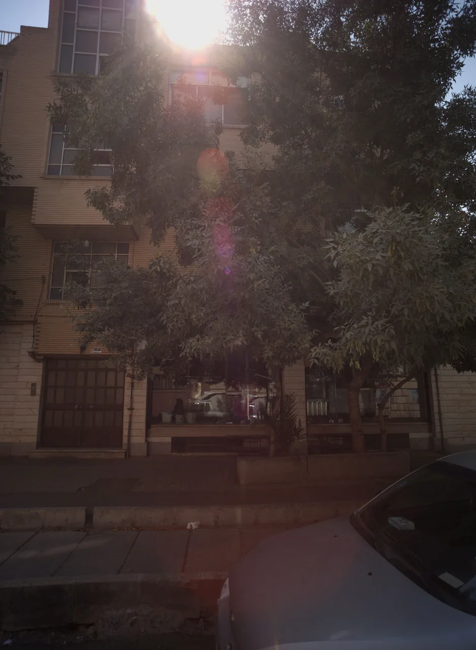 پروتئینی سبلان