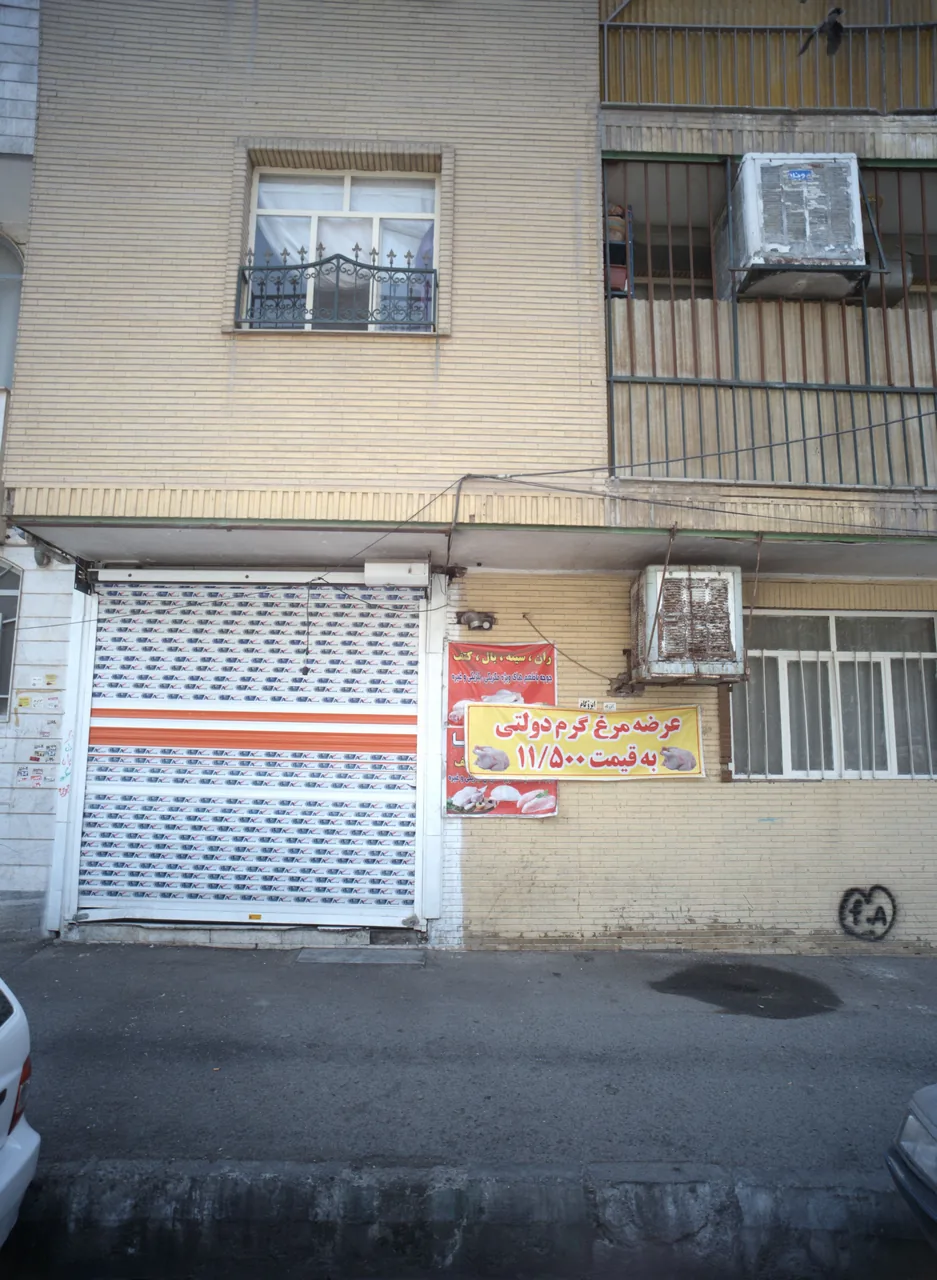 مرغ فروشی