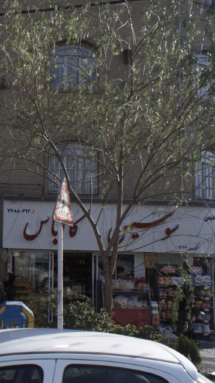 پروتئینی عظیمی