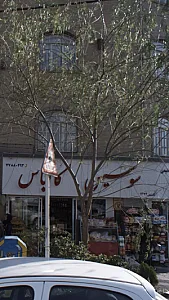 پروتئینی عظیمی